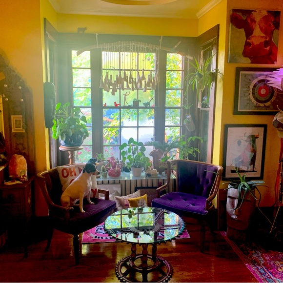 Meet your Posher, Jennifer - Picture 4 of 9